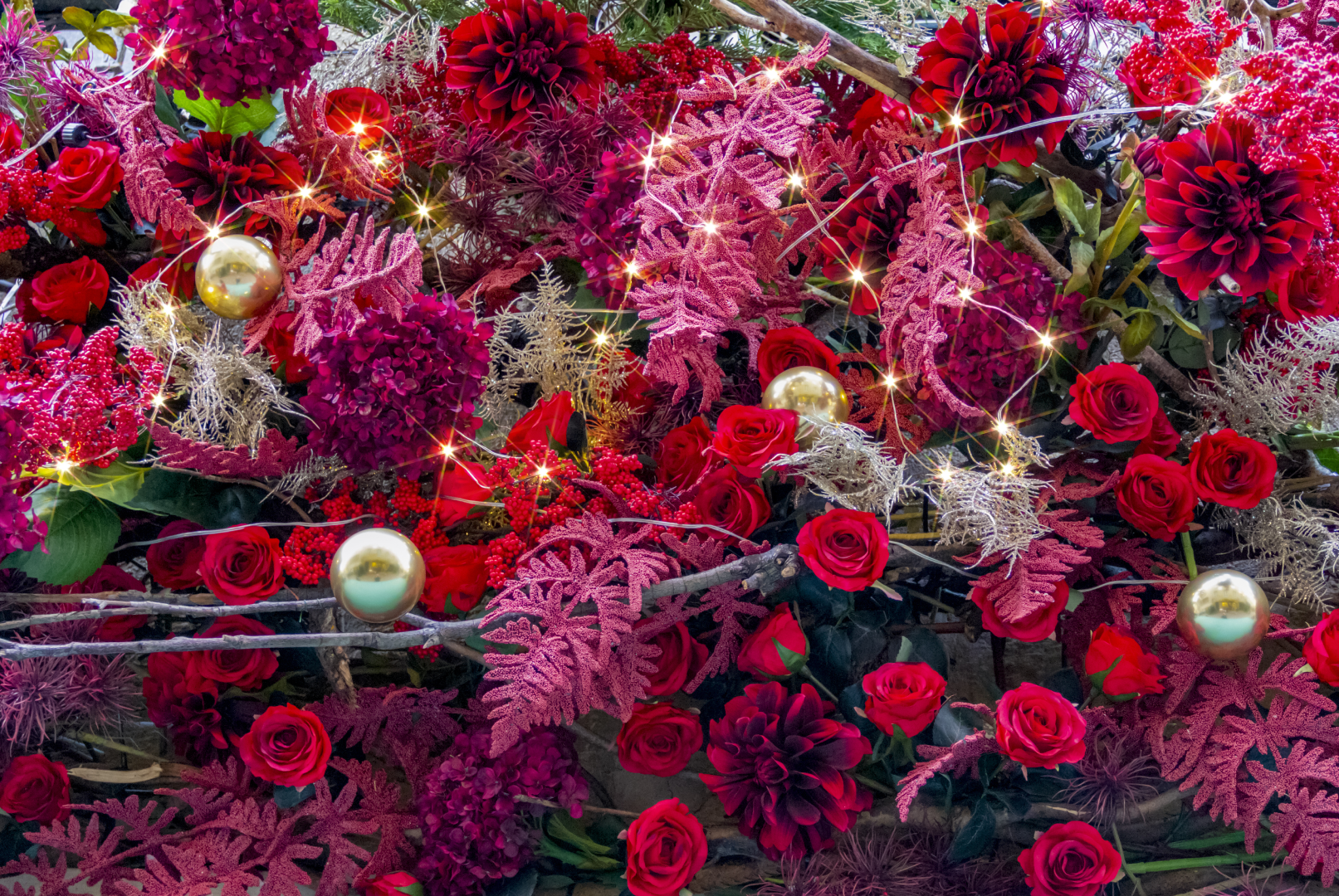 A bunch of flowers that are in the grass.